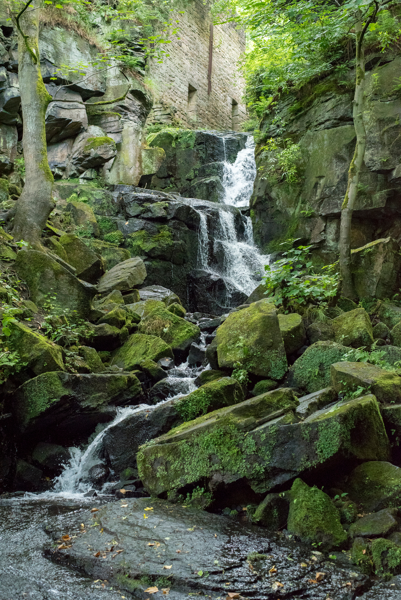 /galleries/Lumsdale Waterfall/_DSC0691.jpg